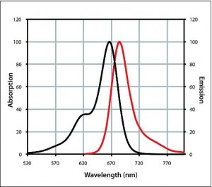 Anti-Mouse IgG (H+L), highly cross-adsorbed, CF� 660C antibody produced in goat 