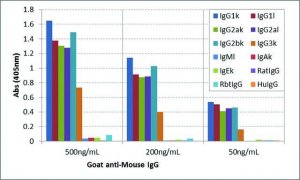 Anti-Mouse IgG-Biotin antibody, Goat monoclonal SAB5600286-50UG