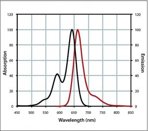 Anti-Rabbit IgG (H+L), highly cross-adsorbed, CF� 640R antibody produced in goat 