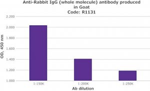 Anti-Rabbit IgG (whole molecule) antibody produced in goat R1131-2ML