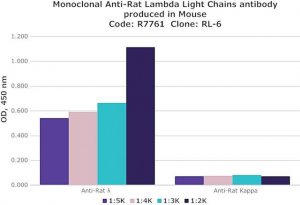 Monoclonal Anti-Rat Lambda Light Chains antibody produced in mouse 