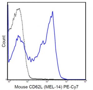 Anti-CD62L (L-Selectin) Antibody (mouse), PE-Cy7, clone MEL-14 MABF717