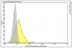 Anti-CEACAM5 (CD66e) Antibody, clone M5A 