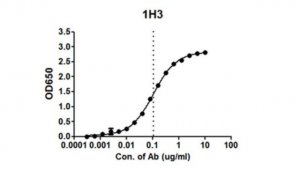 Anti-EBOV GP Antibody, clone 1H3 