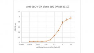 Anti-EBOV GP Antibody, clone 5D2 