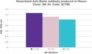 Anti-fd Bacteriophage antibody produced in rabbit 