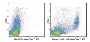 Anti-Ly-6G (mouse), violetFluor� 450, clone 1A8 Antibody 