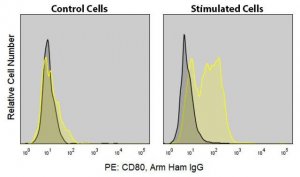 Anti-Mouse CD80 (16-10A1) ColorWheel� Dye-Ready mAb CWA-1022-25UL