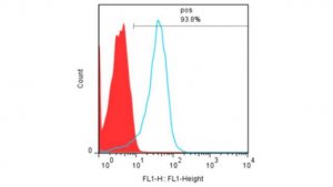 Anti-Prdx-6 Antibody, clone TAG-2A12 