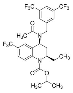 CP 532623 