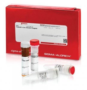 Duolink� In Situ Detection Reagents FarRed 