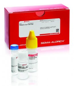Duolink� In Situ PLA� Probe Anti-Mouse MINUS 