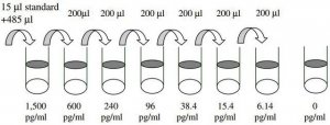 Canine CXCL8 / IL-8 ELISA Kit RAB0318-1KT