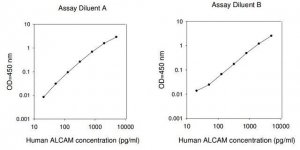 Human ALCAM ELISA Kit RAB0013-1KT