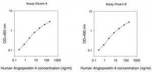 Human ANGPT4 / Angiopoietin-4 ELISA Kit RAB0531-1KT