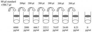 Human BMP-7 ELISA Kit RAB0033-1KT