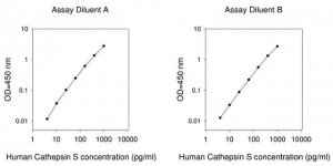 Human Cathepsin S ELISA Kit RAB0111-1KT
