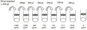 Human CD30 ELISA Kit RAB0491-1KT