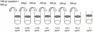 Human FcgRIIBC ELISA Kit RAB0181-1KT
