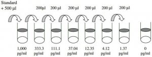 Human GRO- / CXCL1 ELISA Kit RAB0116-1KT