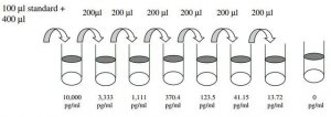 Human IFNL1 / Interferon lambda-1 ELISA Kit RAB0293-1KT