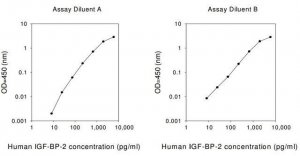 Human IGFBP-2 ELISA Kit RAB0233-1KT