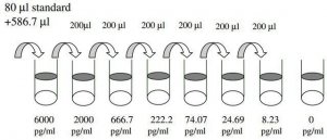 Human IGFBP-2 ELISA Kit RAB0233-1KT