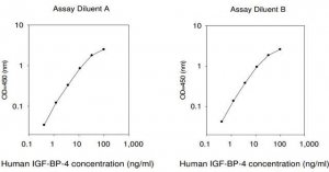 Human IGFBP-4 ELISA Kit RAB0237-1KT
