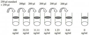 Human IGFBP-4 ELISA Kit RAB0237-1KT
