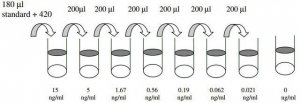 Human IgG ELISA Kit RAB0001-1KT