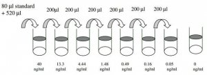 Human IgG1 ELISA Kit RAB0242-1KT