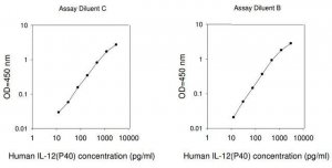 Human IL-12 p40 ELISA Kit RAB0254-1KT