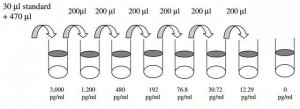 Human IL-12 p40 ELISA Kit RAB0254-1KT