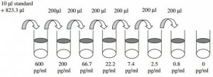 Human IL-8 / CXCL8 ELISA Kit RAB0320-1KT