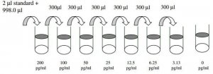 Human MCP-4 / CCL13 ELISA Kit RAB0045-1KT
