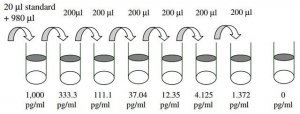 Human Placental Growth Factor ELISA Kit RAB0404-1KT