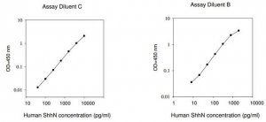 Human ShhN ELISA Kit RAB0430-1KT