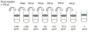Human VEGF R3 ELISA Kit RAB0195-1KT