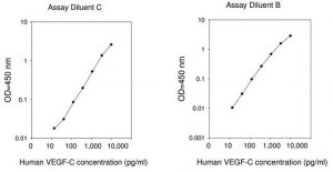 Human VEGF-C ELISA Kit RAB0513-1KT