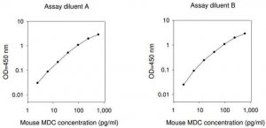 Mouse Ccl22 / C-C Motif Chemokine 22 ELISA Kit RAB0563-1KT