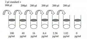 Mouse Eotaxin ELISA Kit RAB0043-1KT