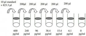 Mouse IL-17 (IL-17A) ELISA Kit RAB0263-1KT