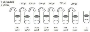 Mouse M-CSF / CSF1 ELISA Kit RAB0099-1KT