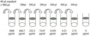 Mouse MIP-2 / CXCL2 ELISA Kit RAB0128-1KT
