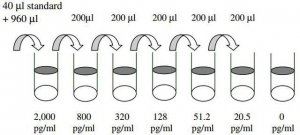 Mouse TECK / CCL25 ELISA Kit RAB0069-1KT