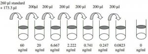 Mouse TIMP-2 ELISA Kit RAB0473-1KT