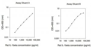 Rat IL-1 ELISA Kit RAB0277-1KT