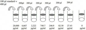 Rat IL-13 ELISA Kit RAB0258-1KT