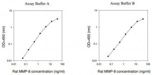 Rat MMP-8 ELISA Kit RAB0371-1KT