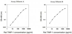 Rat TIMP-1 ELISA Kit RAB0470-1KT